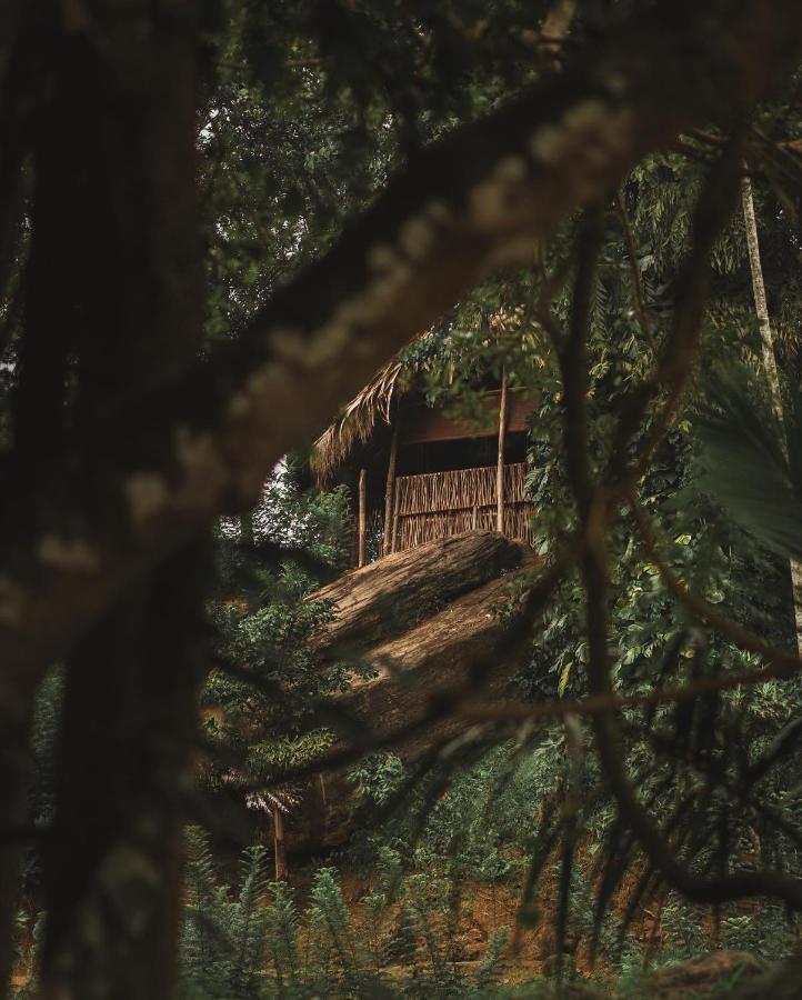 The Forestry Camps Karagastalawa Exterior photo